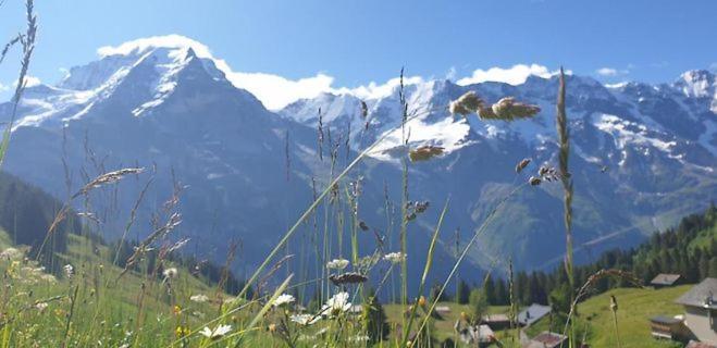 Sonnenberg Dormitories Mürren Extérieur photo
